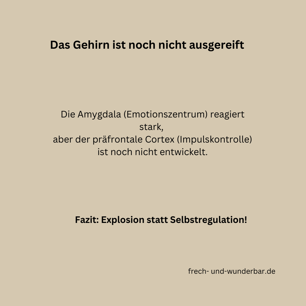Warum reagieren Kinder so stark auf Frust?