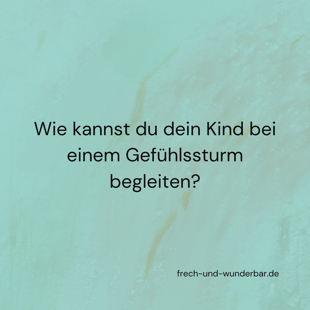 Wie du dein Kind bei einem Gef&uuml;hlssturm begleiten kannst - Frech & Wunderbar - liebevolle und bindungsorientierte Erziehung