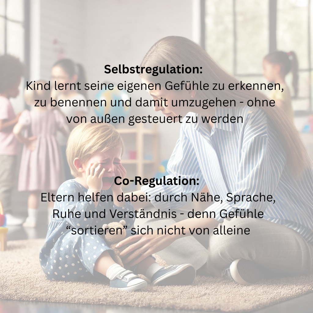 Selbstregulation beginnt mit Co-Regulation